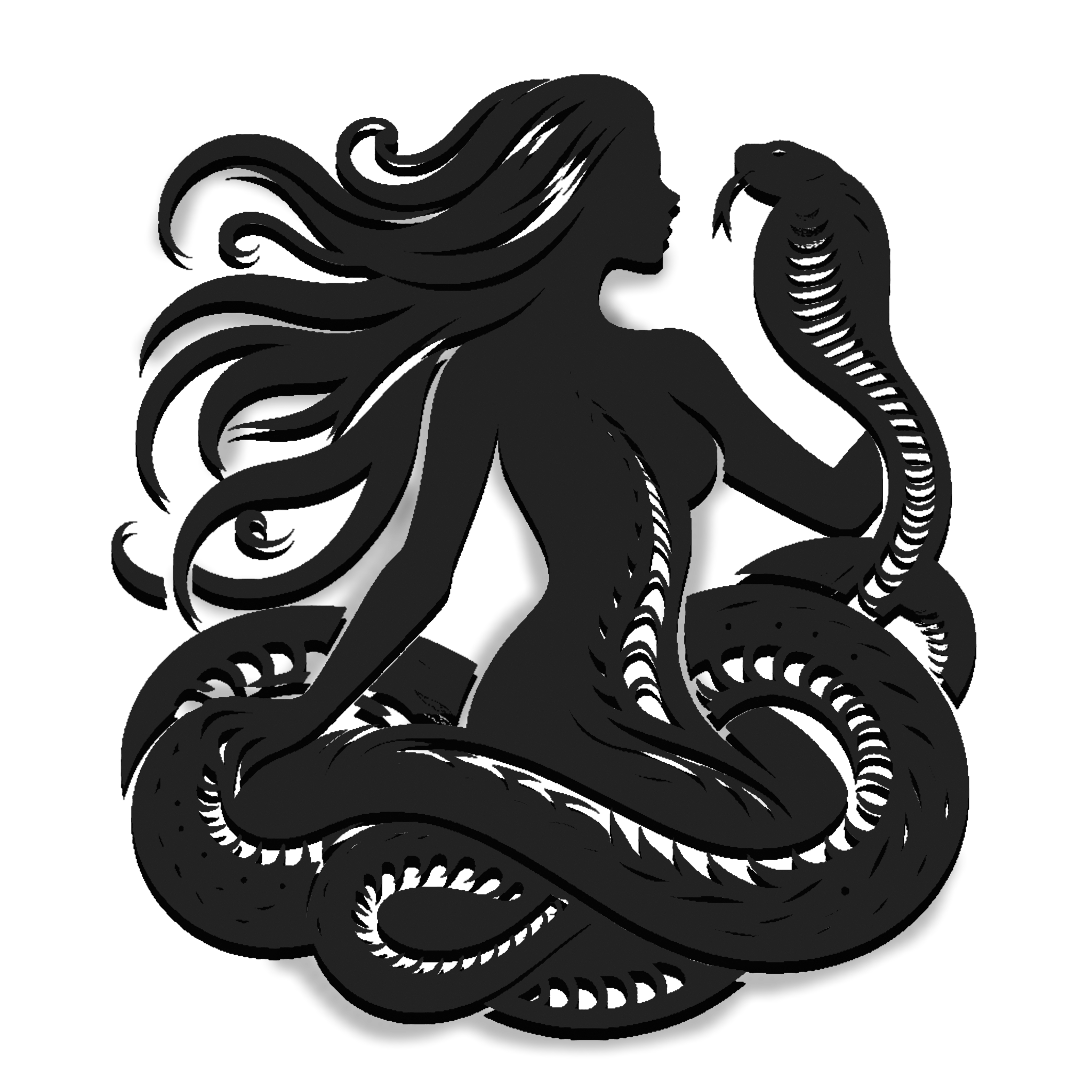 XWMS Logo